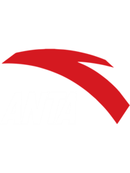 Mesmerizing Anta Logo