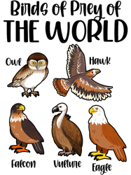 Birds of Prey Of The World Eagle Falcon Owl Ornithologist,Png, Png For Shirt, Png Files For Sublimation, Digital Downloa