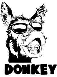 Cool Funny Donkey,Png, Png For Shirt, Png Files For Sublimation, Digital Download