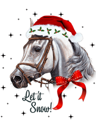 Cute Horse With Santa Hat Let It Snow Horse Lover Christmas,Png, Png For Shirt, Png Files For Sublimation, Digital Downa