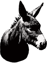 Donkey Portrait Stencil Design Art,Png, Png For Shirt, Png Files For Sublimation, Digital Download