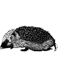 Drawing of a hedgehog,Png, Png For Shirt, Png Files For Sublimation, Digital Download