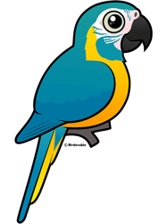 Birdorable Bluethroated Macaw Cute Cartoon Parrot Bird, Png, Png For Shirt, Png Files For Sublimation, Digital Download,