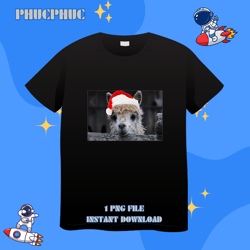 Funny Christmas Alpaca Llama Santa Hat Graphic NoveltyPng, Png For Shirt, Png Files For Sublimation, Digital Download, P