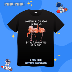 Question my sanity flamingo but my flamingo told me Im finePng, Png For Shirt, Png Files For Sublimation, Digital Downlr