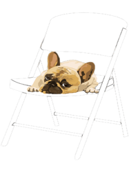 White Folding Chair With Dog