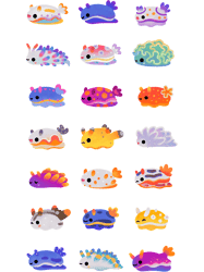 Sea Slug Day