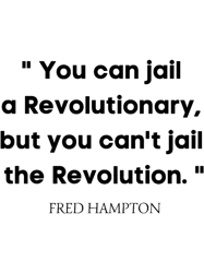 you can jail a revolutionary but you cant jail the revolution