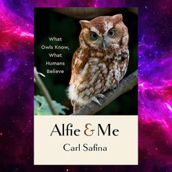 alfie and me: what owls know, what humans believe kindle by carl safina