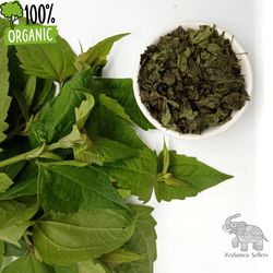 Dream Herb | Calea zacatechichi | Natural Mexican Dream Herb Leaf | Dried Calea zacatechichi
