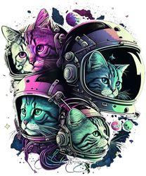 funny cat space cat galaxy kitten