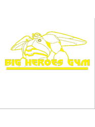 Big Heroes Gym