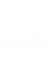 Evolution Zombie (1)