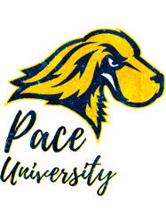 Glitter Pace University (1)