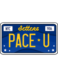 pacelicense plate