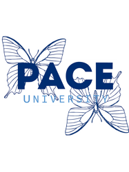 Pace University Butterflies (1)
