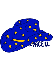 pace university cowgirl hat
