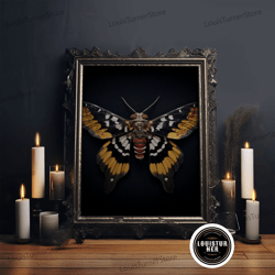 Framed Canvas Ready To Hang, Framed Death Head Moth Canvas Print, Acherontia, Taxidermy Art, Dried Butterfly Print, Bug