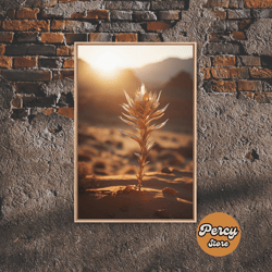 sunlight over a desert rose, framed canvas wall art cactus desert landscape arizona photography print minimalist modern