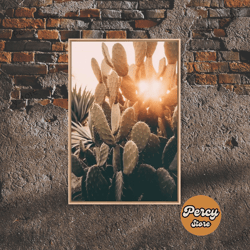 sunlight peaking through a cactus, framed canvas wall art cactus desert landscape arizona photography print minimalist m