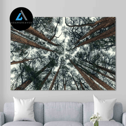 decorative wall art, wooded area, natural beauty canvas wall art, nature landscape canvas wall art, landscape canvas wal