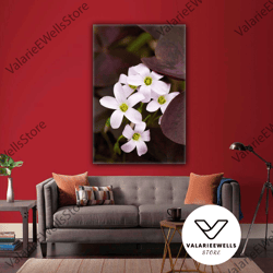 Macro Shot White Flower Landscape Nature Roll Up Canvas, Stretched Canvas Art, Framed Wall Art Painting