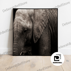 Elephant Photo Print, Wildlife Elephant Wall Art, Elephant Photo Artwork, Elephant Lover Gift Wall Art, Animal Poster, W