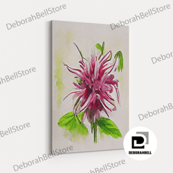Framed Canvas Ready To Hang, Bee Balm Flower, Monarda, Watercolor Flower Art, Floral Art, Gifts For Her, Framed Canvas P