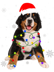 Bernese Mountain Dog Lights Christmas Matching Family 38