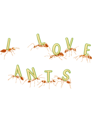 Ant Keeping Future Entomologist Insect Lover Ant Whisperer PNG T-Shirt