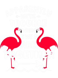 Your Matter You Energy Funny Physicist Tee Physics LoverApparently Were Trouble When We Are Together Pink Flamingos PNG