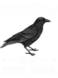 Crow Is My Spirit Animal Bird Lover PNG T-Shirt
