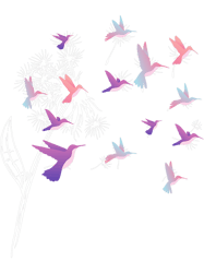 Dandelion Hummingbird Flower Birdwatcher Herbalist PNG T-Shirt