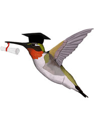 Hummingbird Graduation Exam School Bird Birdlover Biologist PNG T-Shirt
