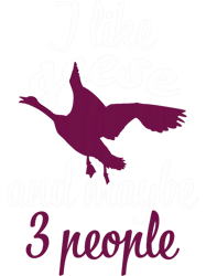 Crow Just A Girl Who Loves Crows 22 PNG T-ShirtI Like Geese And Maybe Like 3 People 21 PNG T-Shirt