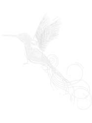 Imaginative hummingbird drawing PNG T-Shirt