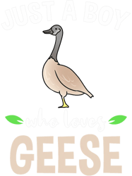 Just A Boy Who Loves Geese PNG T-Shirt