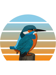 Kingfisher Bird Birdwatcher Ornithologist Biologist Birder PNG T-Shirt