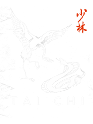 Tai Chi Beginners Design. Snake 2Crane Tai Chi Calligraphy PNG T-Shirt