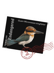 USPS Endangered Species Kingfisher Postmark PNG T-Shirt