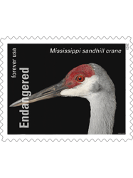 USPS Endangered Species Sandhill Crane Full Stamp PNG T-Shirt