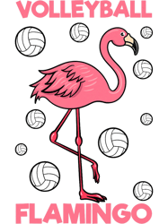 Volleyball Flamingo Lover Team Sport Player Fan Spiker PNG T-Shirt