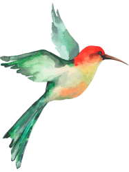 Watercolor Hummingbird 21 PNG T-Shirt
