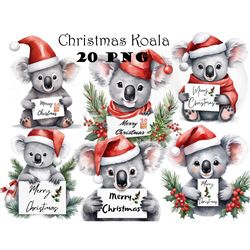 christmas koala watercolor clipart png festive koala bear graphics holiday koala bear illustrations australian christmas