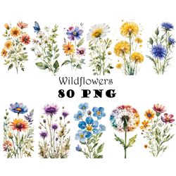 Pressed Boho Watercolor Wildflowers Clipart Bundle PNG Dried Plants PNG Transparent Background Pressed Boho Plants