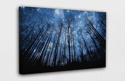 Winter Starry night sky Canvas Design  Poster Print Decor for Home & Office Decoration I POSTER or CANVAS READY to Hang