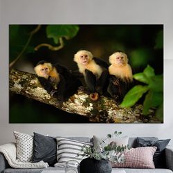 Canvas Gift, Custom Wall Hanging, Wild Monkey Canvas, Wall Art, Animal 3D Canvas, Wild Animal Canvas Decor, Cute Monkey