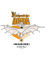 Looney Tunes Wile E. Coyote Acme Wingsuit