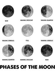 Moon Phase Moon Cycles Lunar Eclipse Lunar Cycle