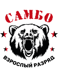 Sambo wrestling martial arts Russia martial 23